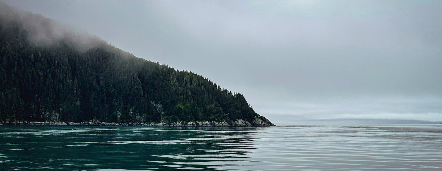 Misty coastal landscape with a lush, forested hillside meeting calm, glassy water under an overcast sky. The scene evokes a sense of tranquility and solitude.