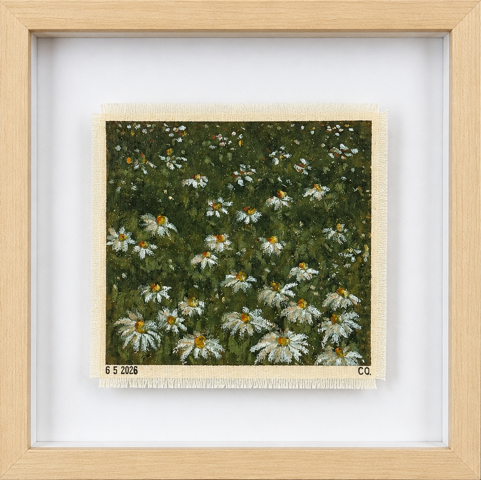 Framed artwork of daisies